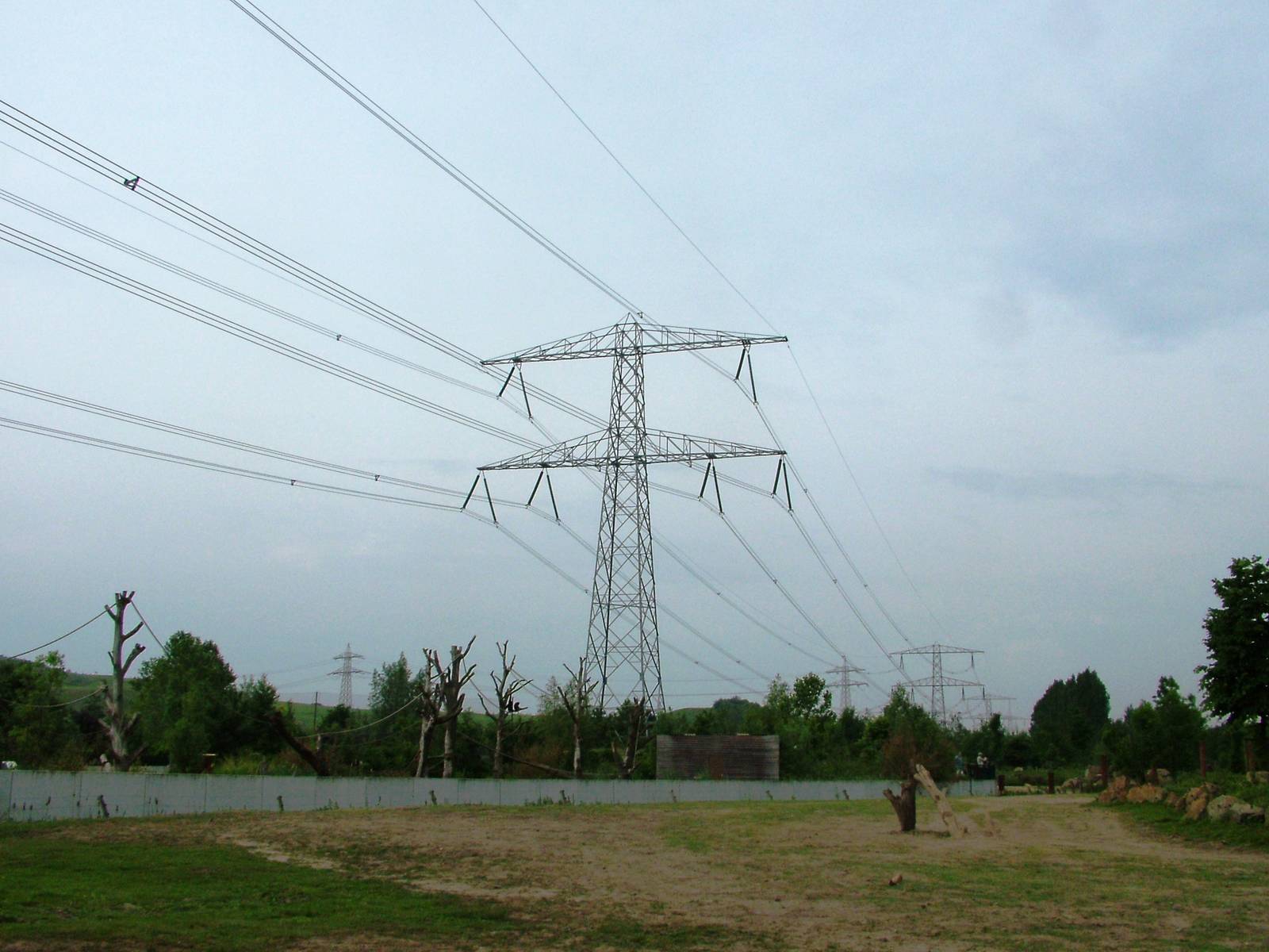 Asian Elephant Paddock at Dierenrijk, 31/05/12