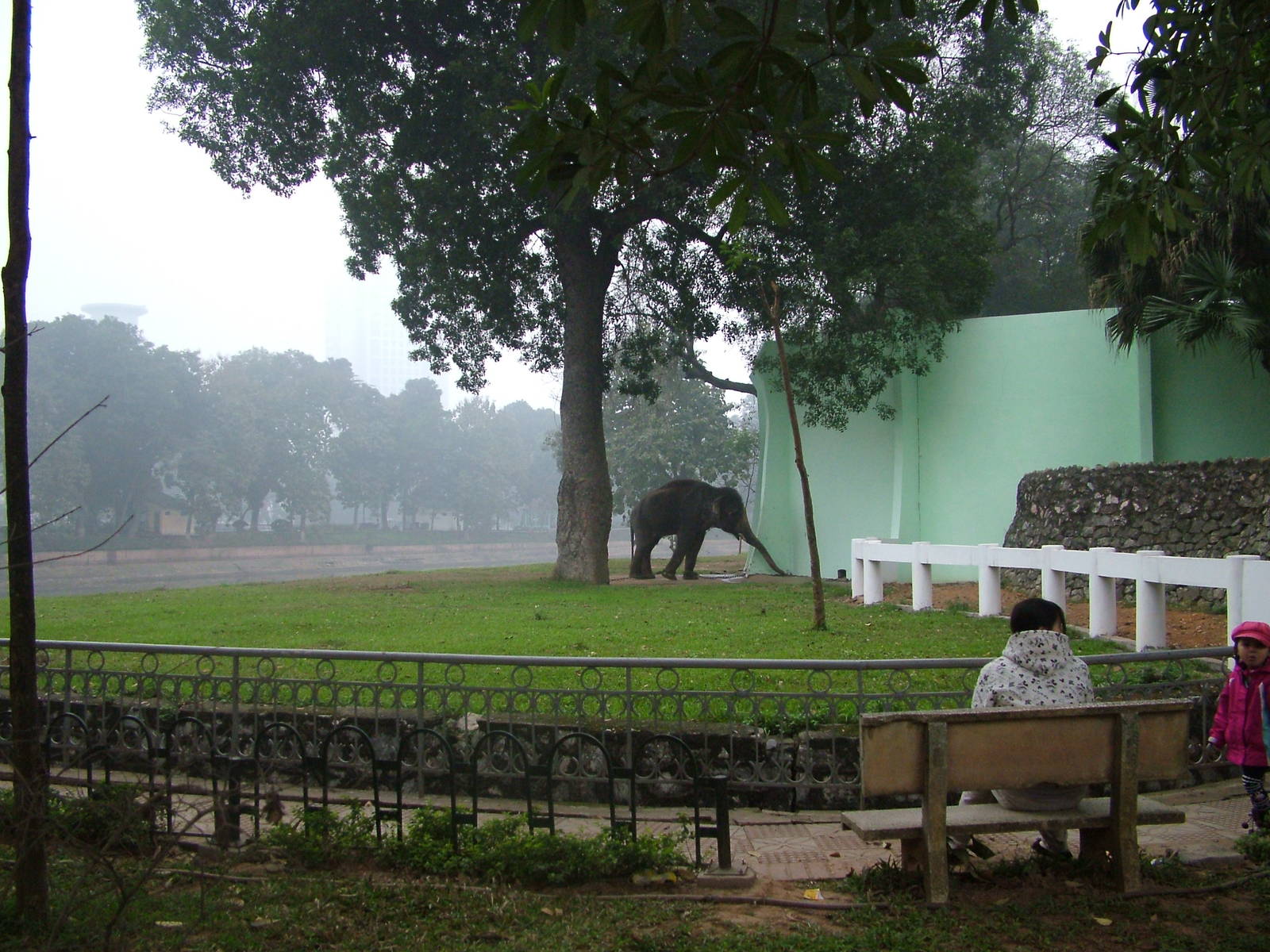 Asian Elephant Paddock at Hanoi Zoo, 15/03/12