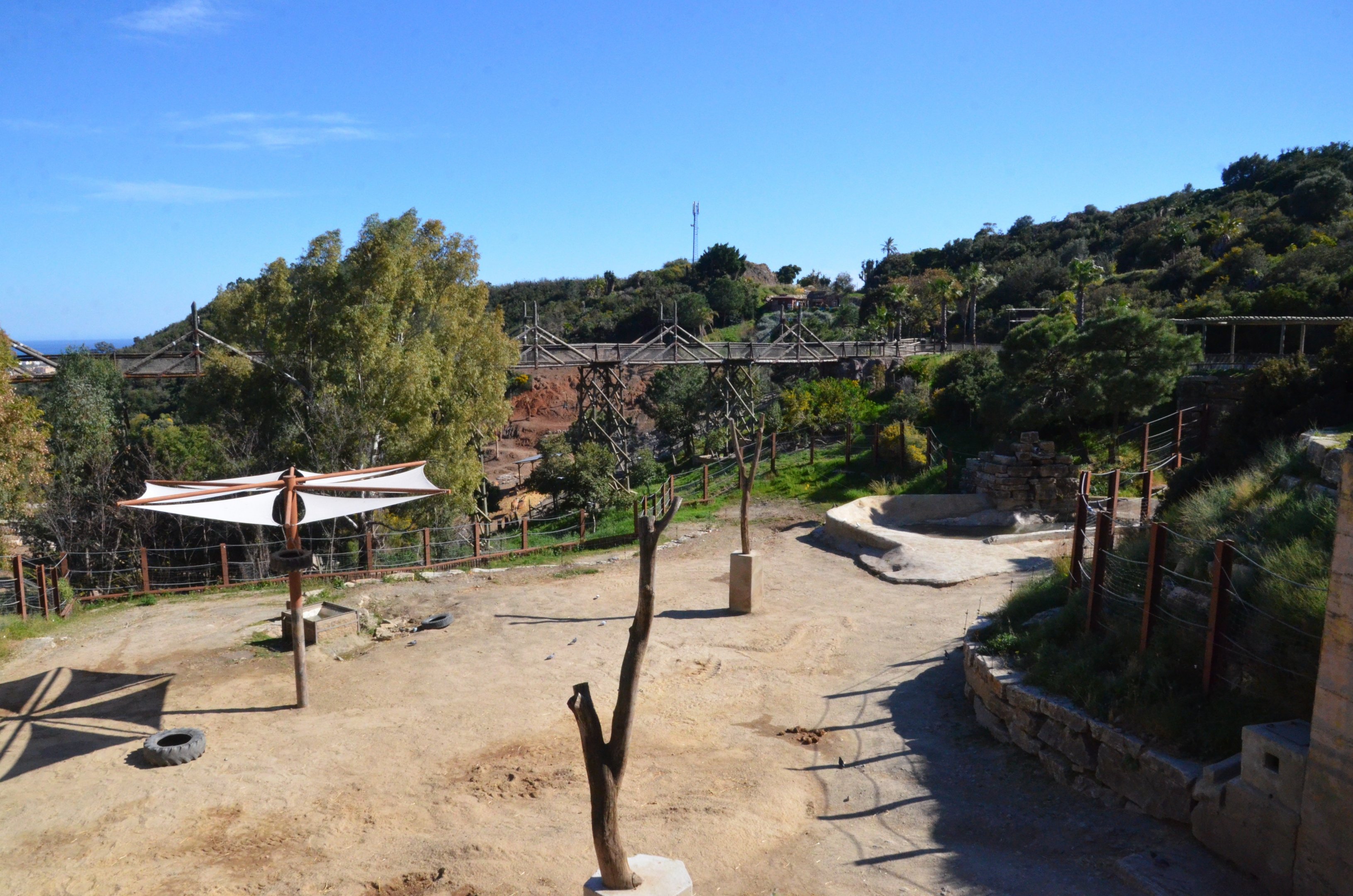 Asian Elephant Paddock at Selwo Aventura, 13/03/19