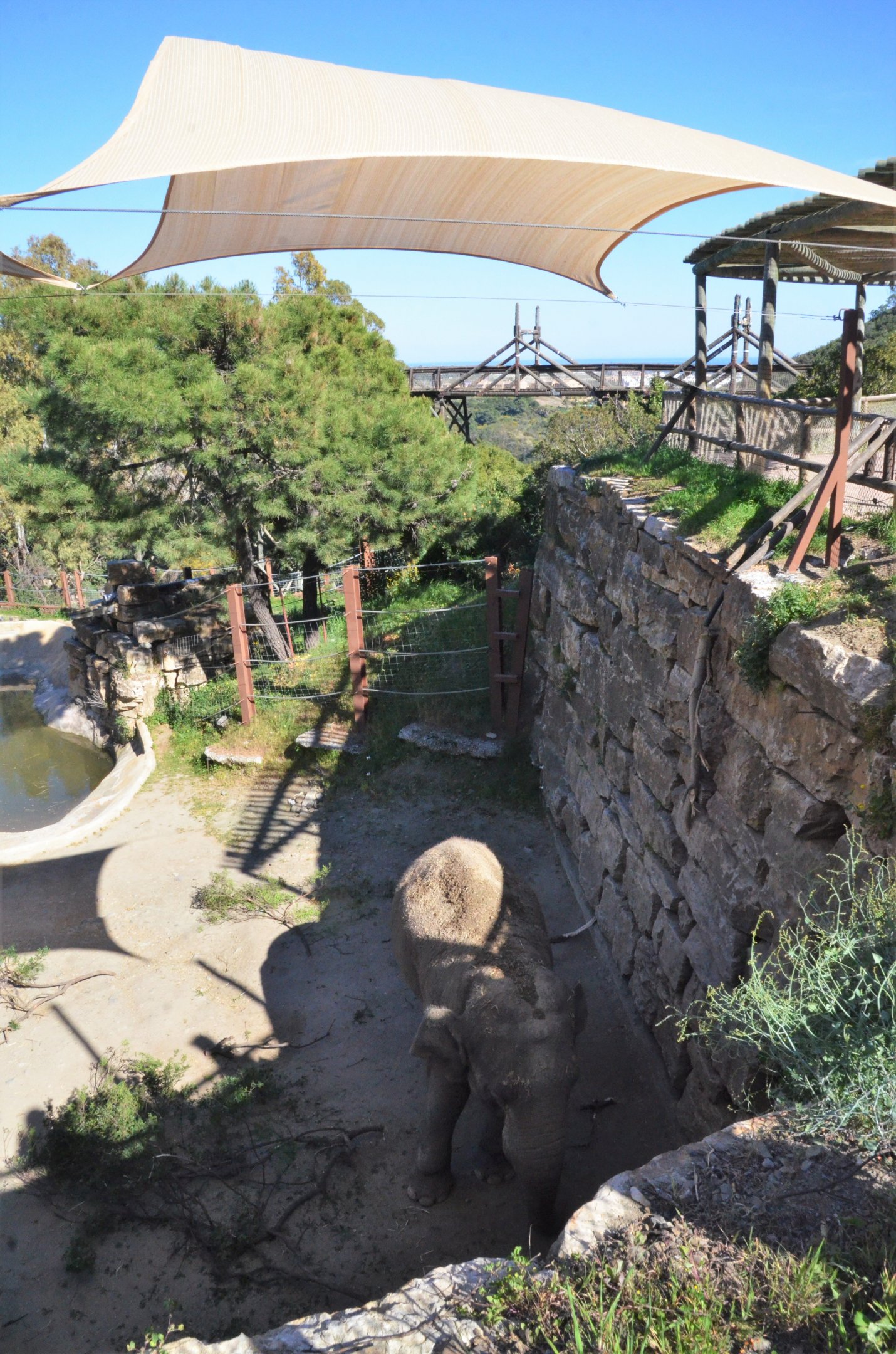 Asian Elephant Paddock at Selwo Aventura, 13/03/19