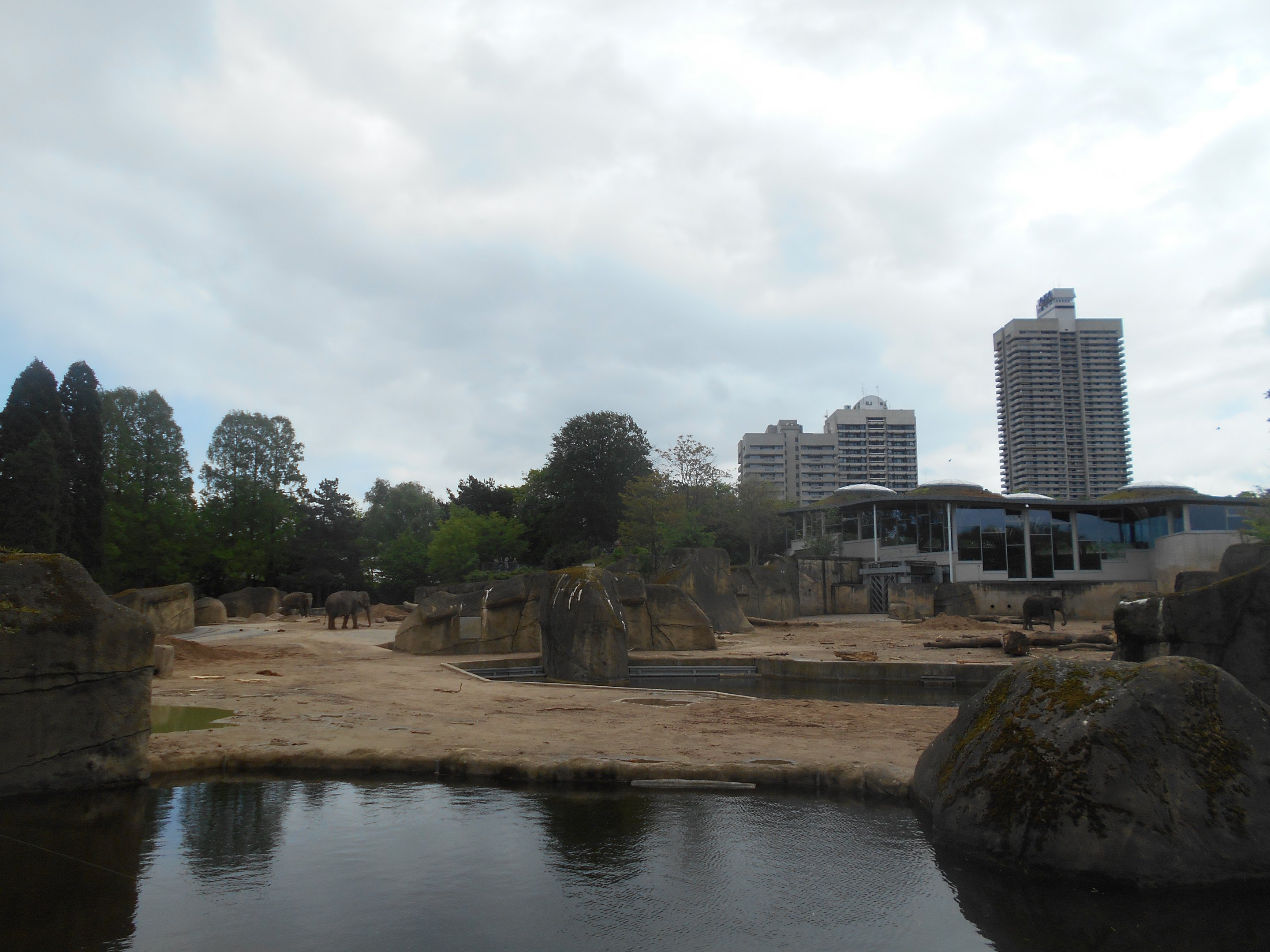 Asian Elephant paddock complex