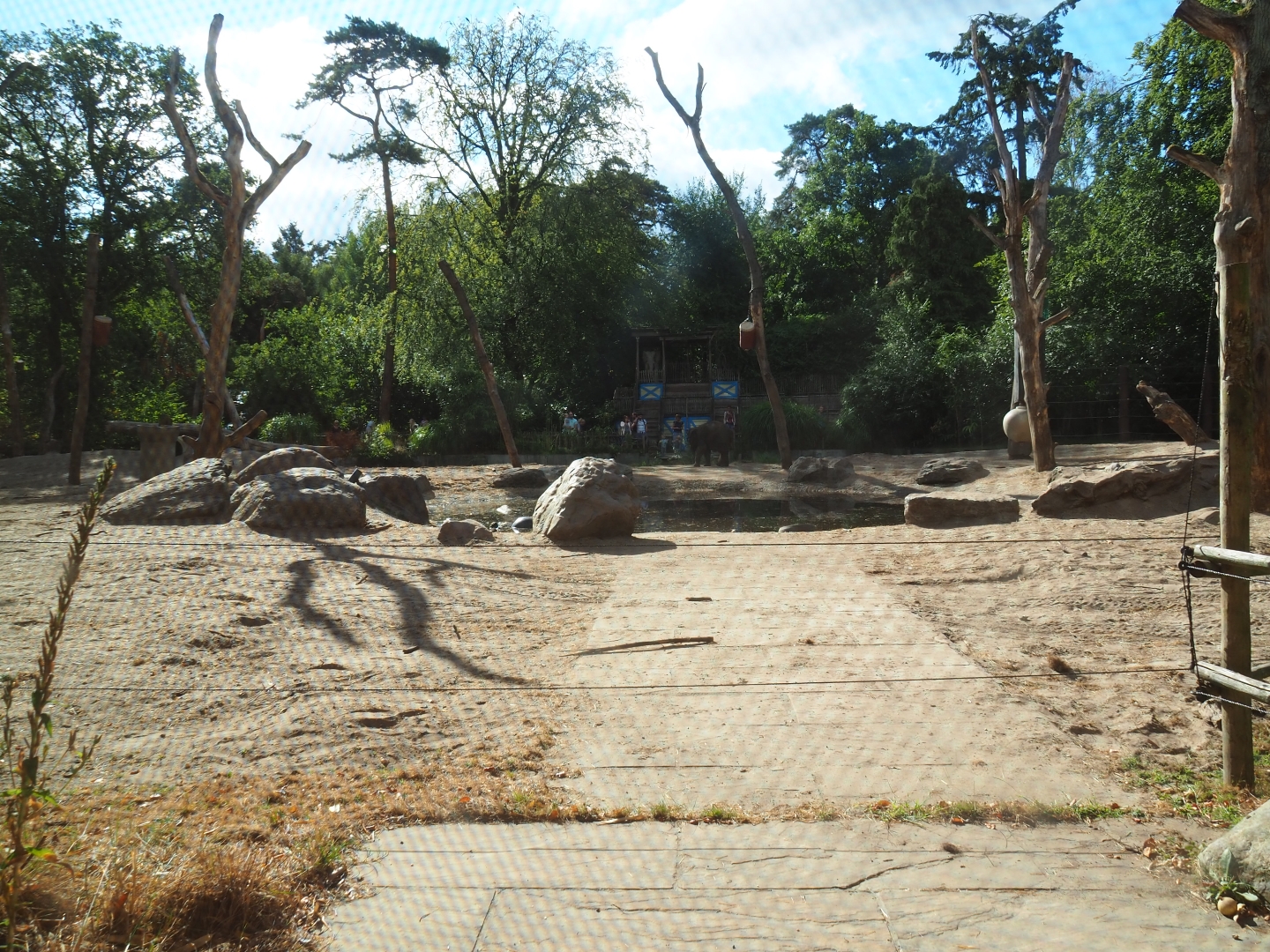 Asian elephant paddock seen from the elephant house
