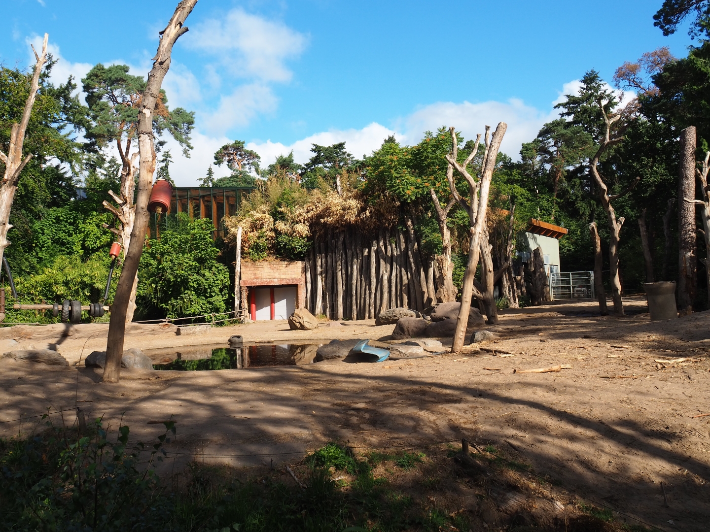 Asian elephant paddock