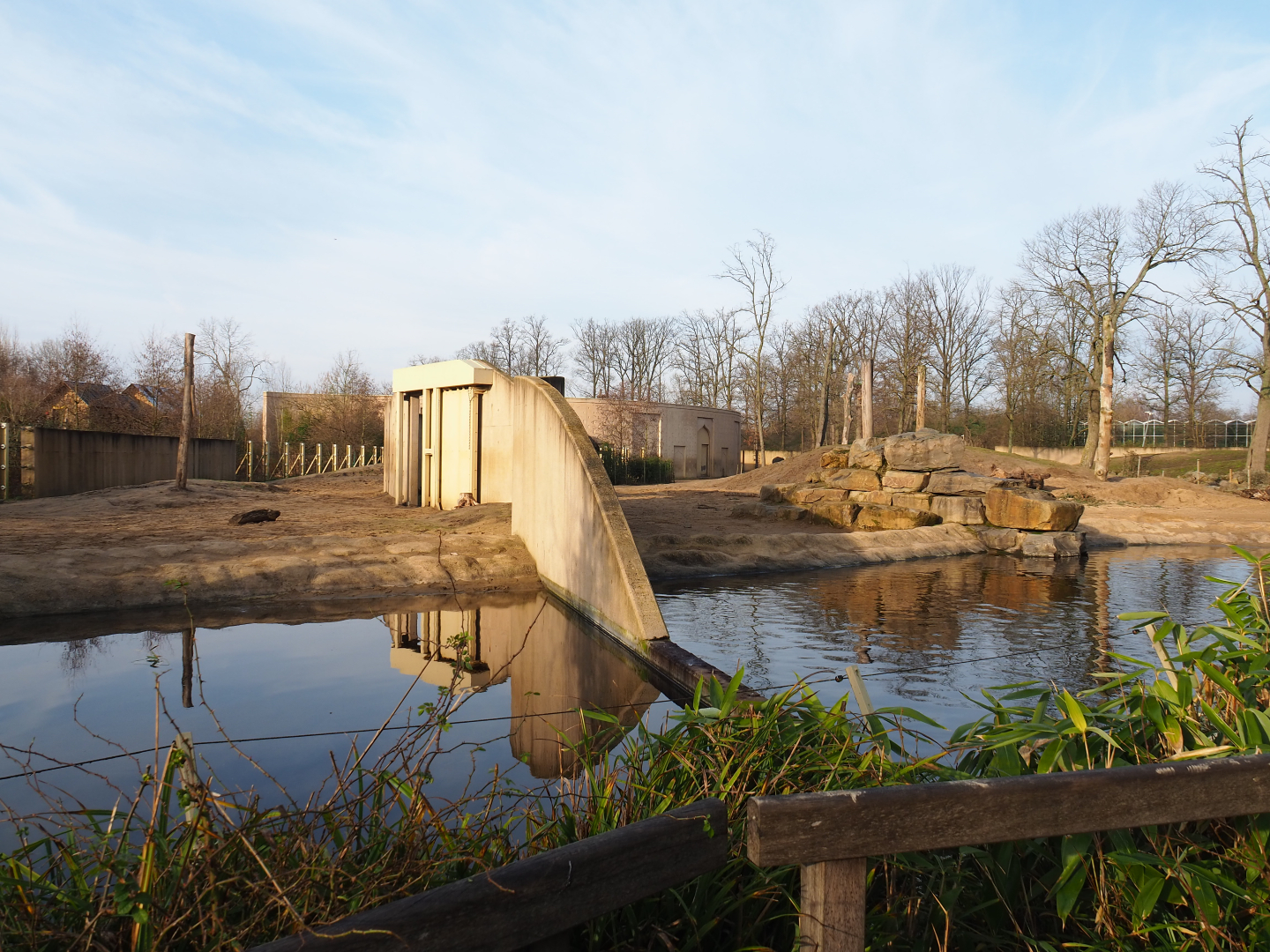 Asian elephant paddocks, 2019-12-28