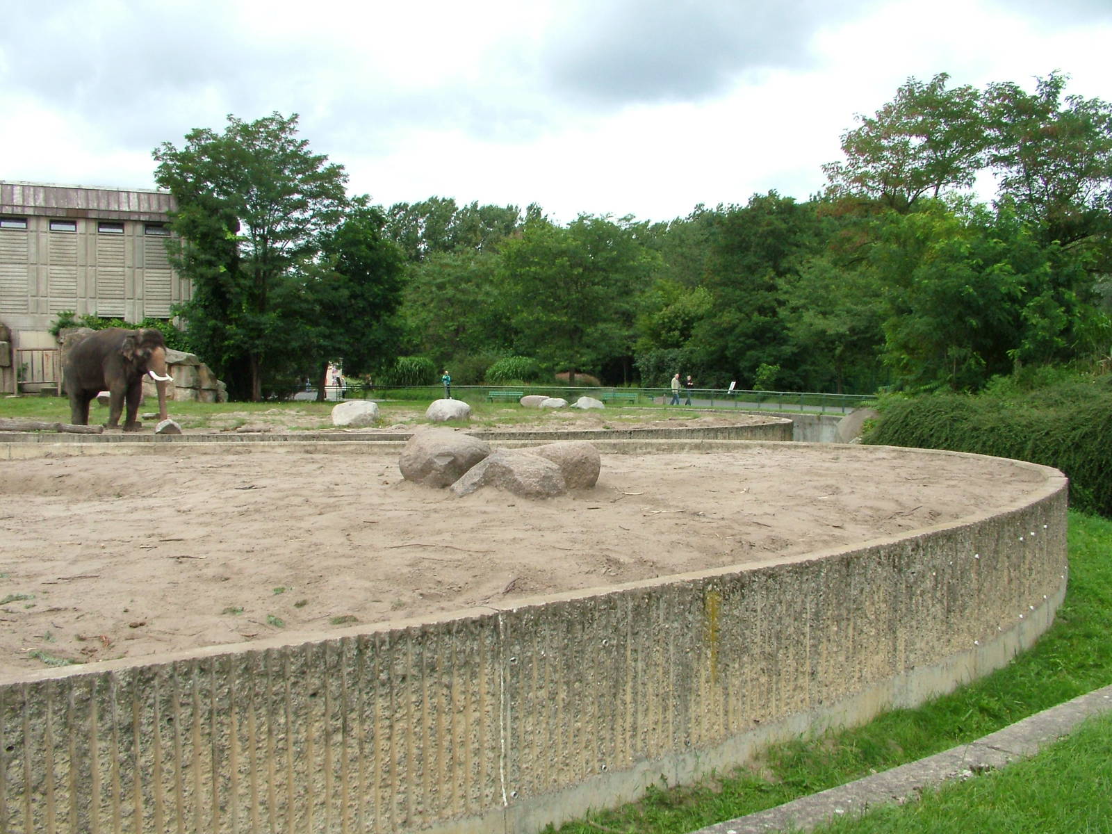 Asian Elephant Paddocks at Tierpark Berlin, 30/08/11