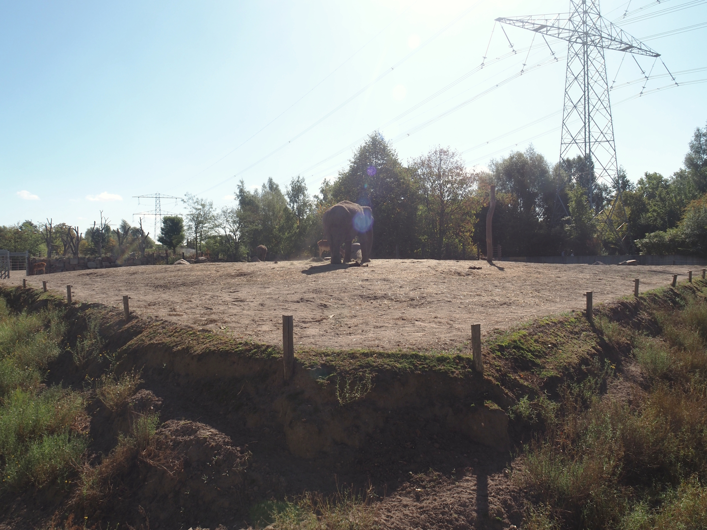 Asian elephant paddocks (One of three), 2025-08-24