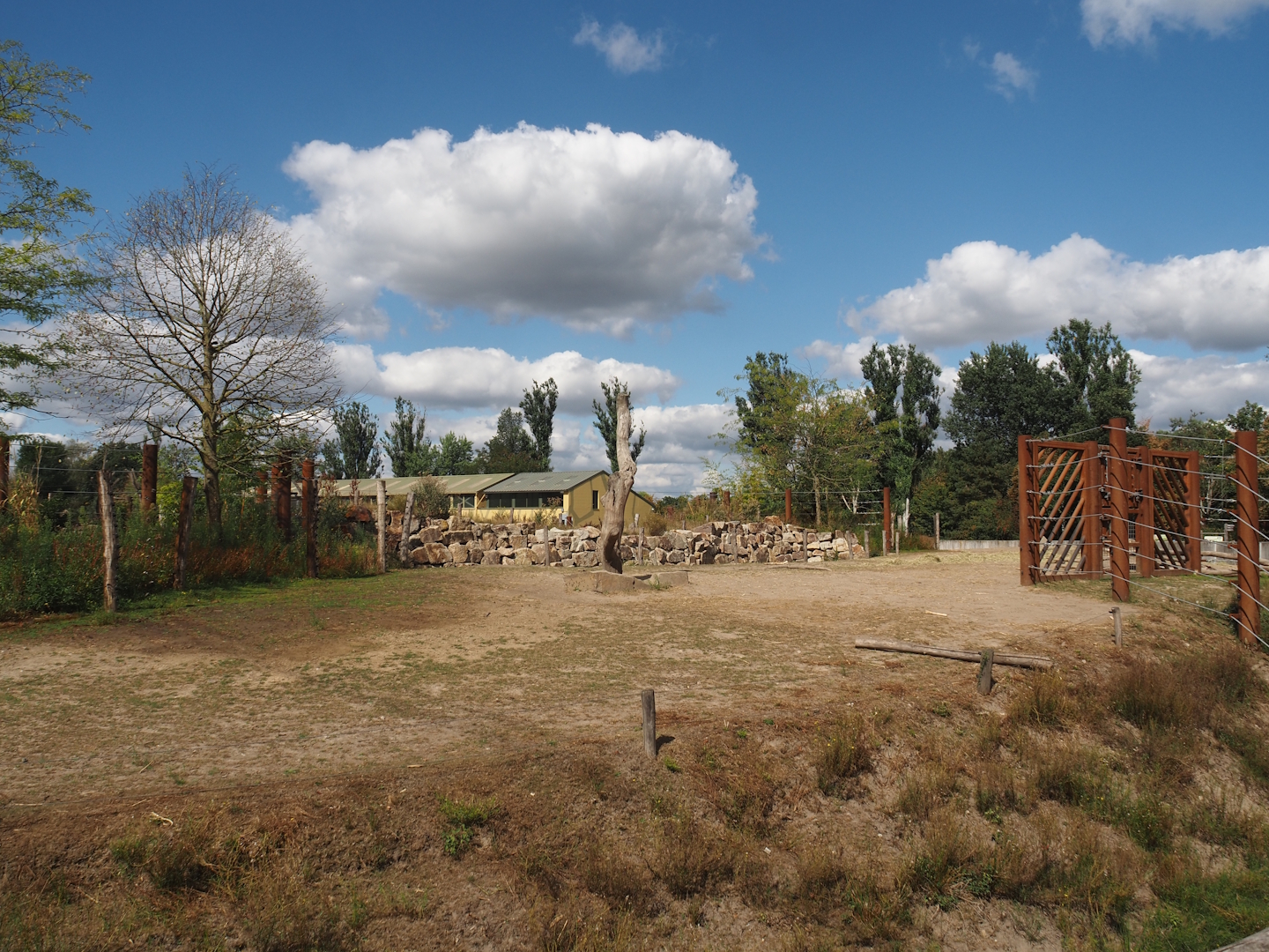 Asian elephant paddocks (One of three), 2025-08-24
