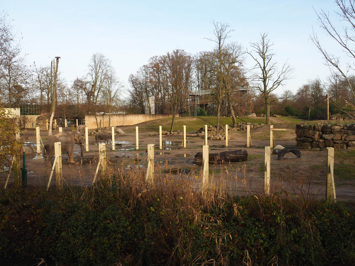 Asian elephant paddocks seen from the second viewing lodge, 2021-12-07