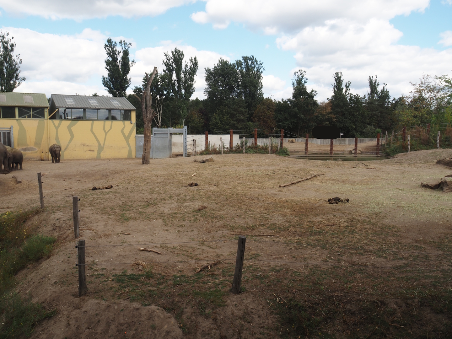 Asian elephant paddocks (Two of three), 2025-08-24