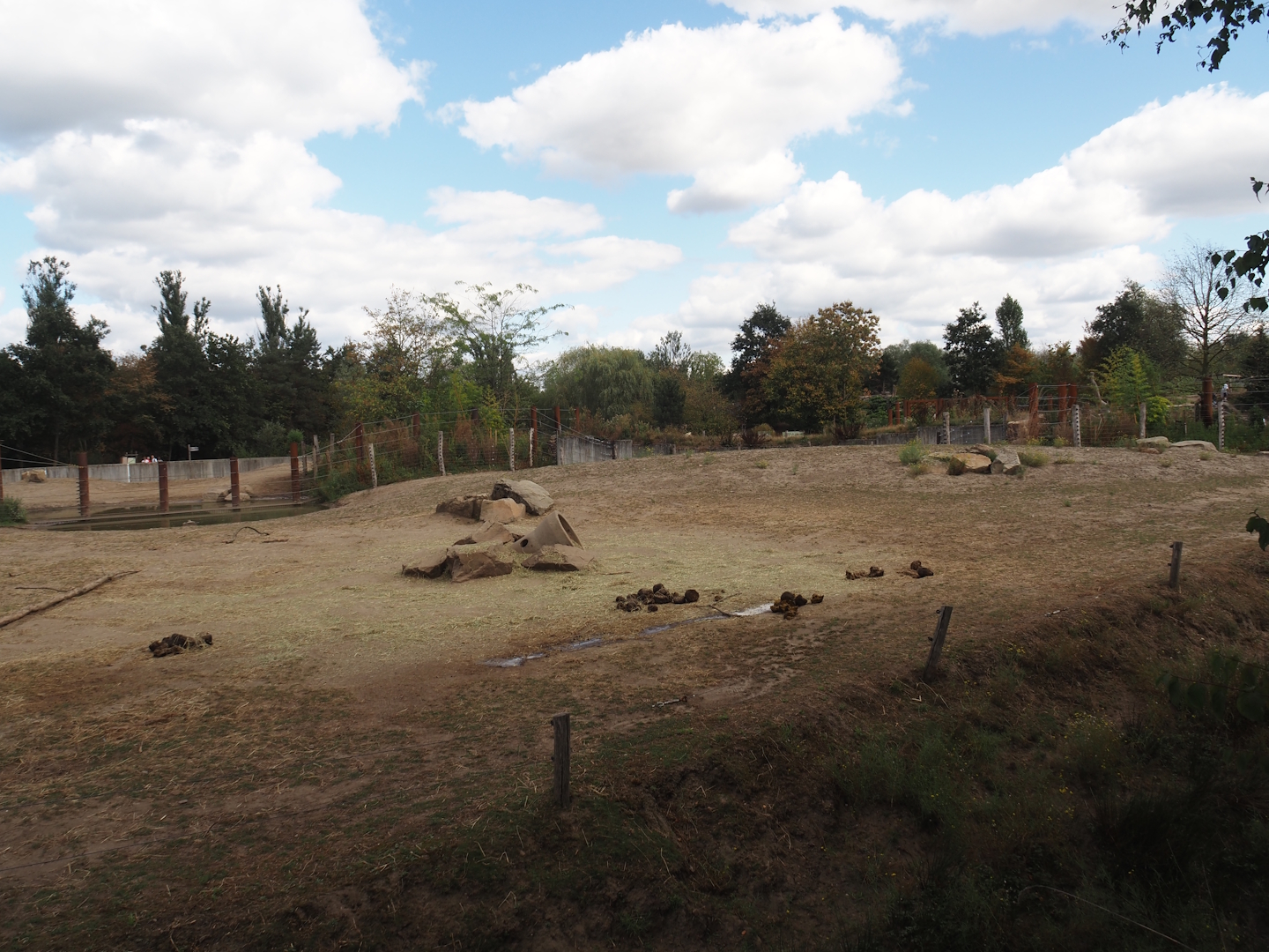 Asian elephant paddocks (Two of three), 2025-08-24