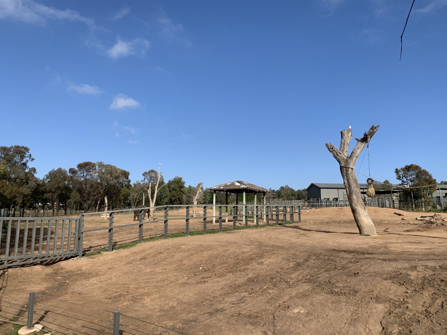 Asian Elephant Paddocks