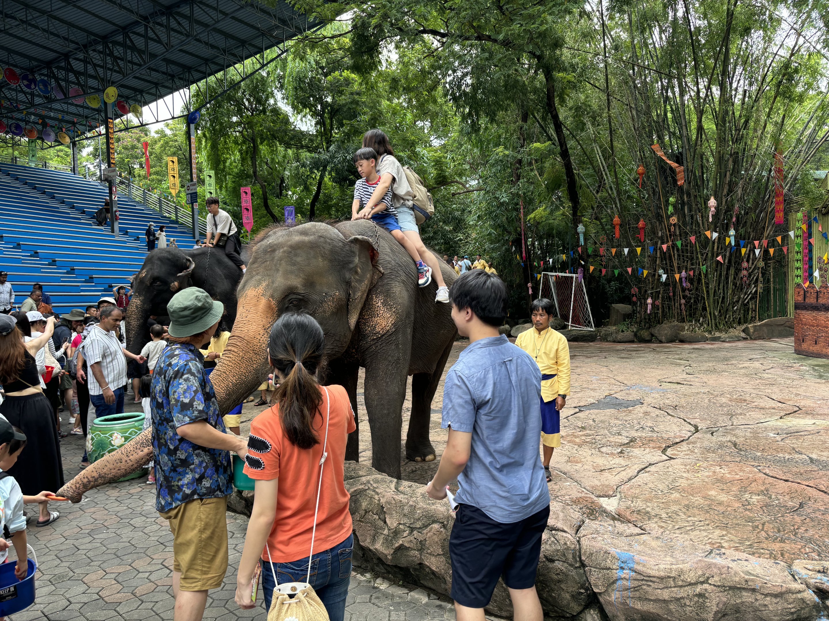 Asian Elephant Petting Area