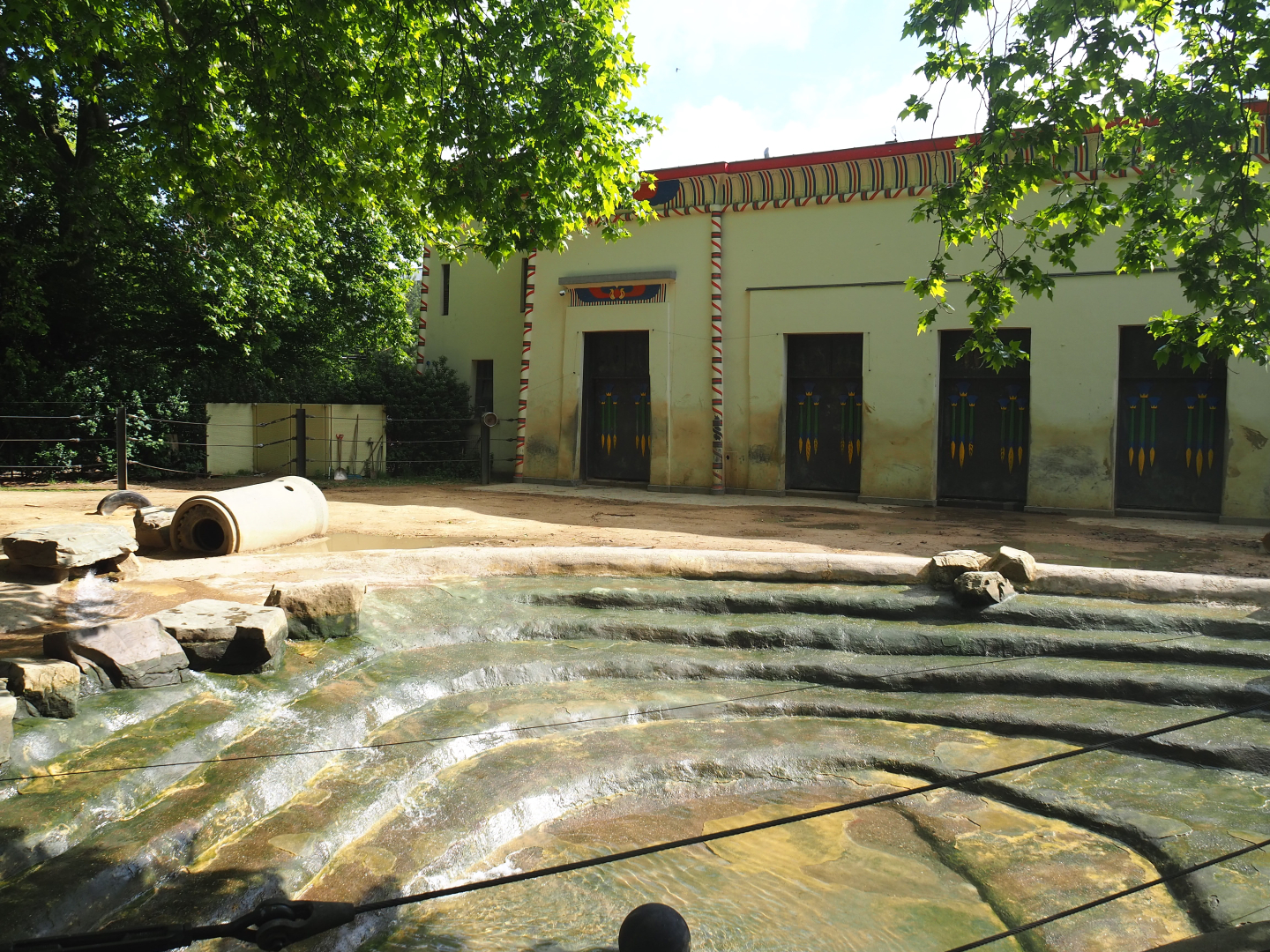 Asian elephant pool and part of Asian elephant paddock,2022-05-26