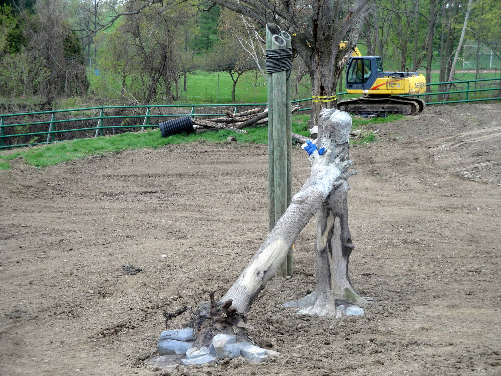 Asian Elephant Preserve