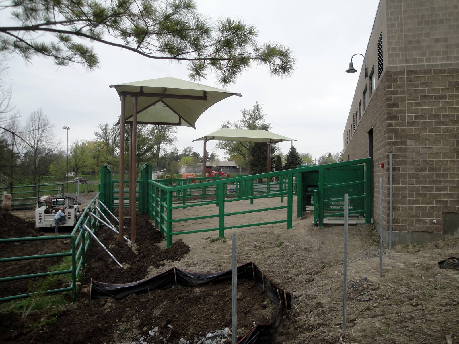 Asian Elephant Preserve