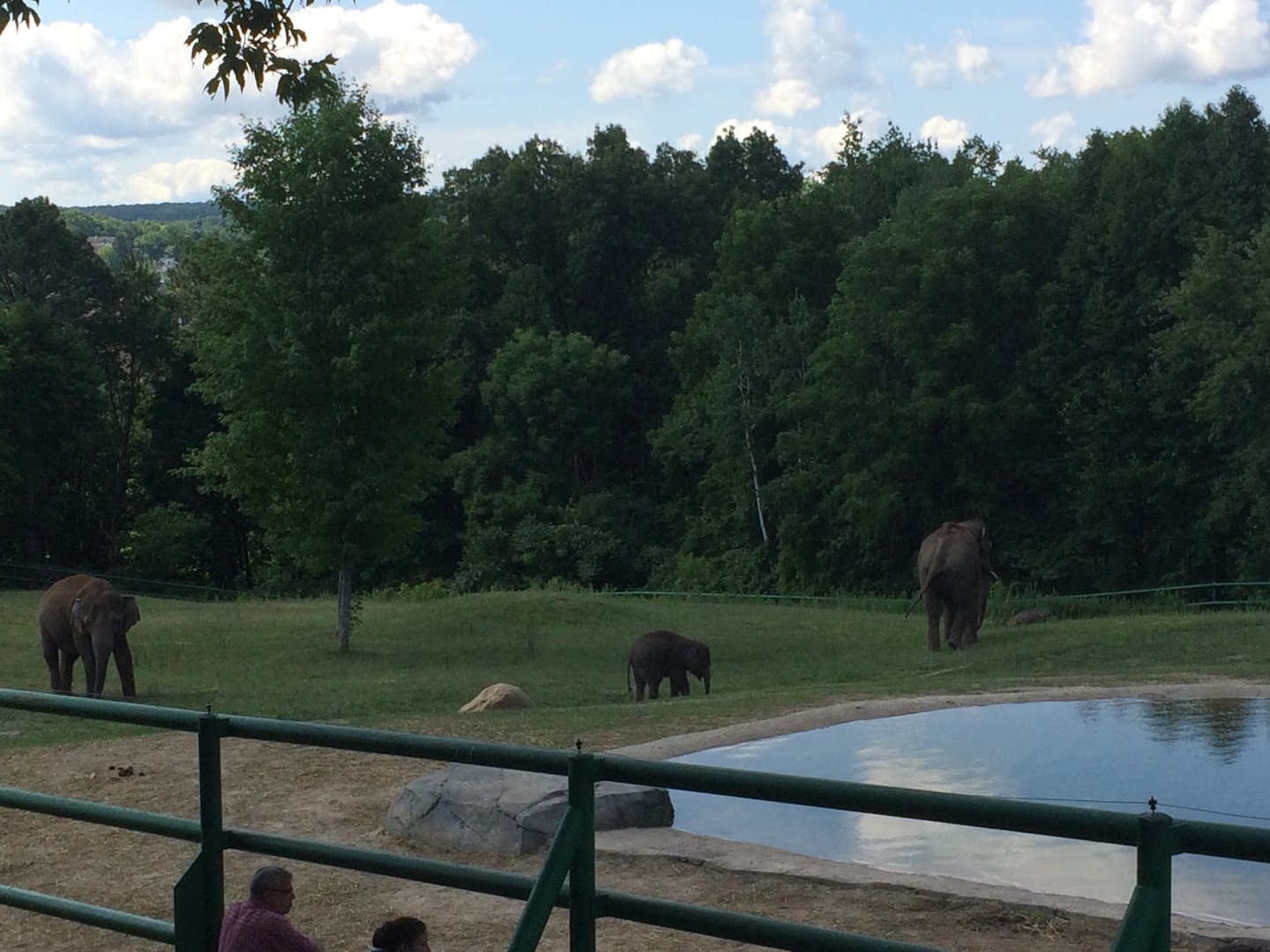 Asian Elephant Preserve