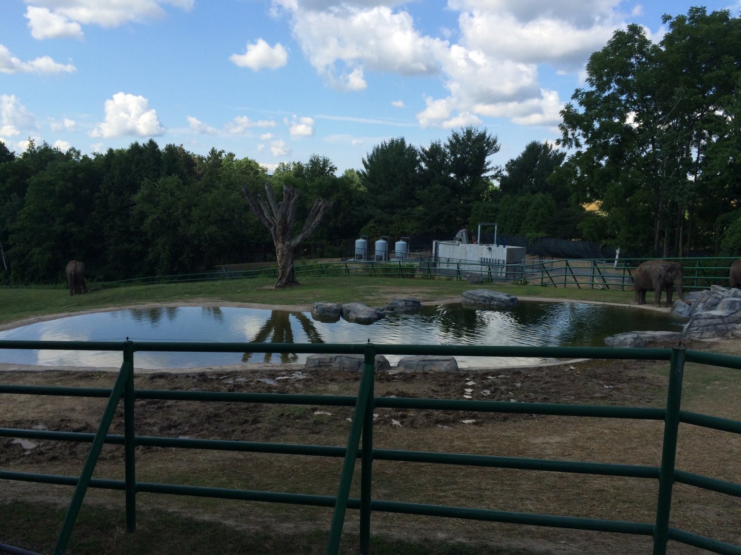 Asian Elephant Preserve