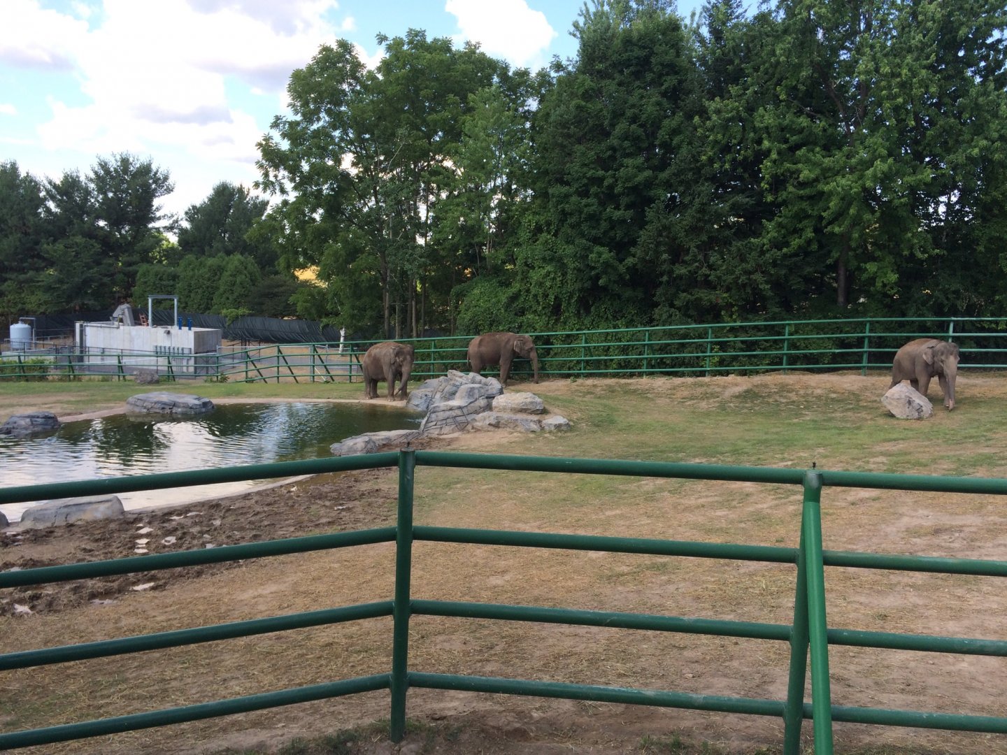 Asian Elephant Preserve