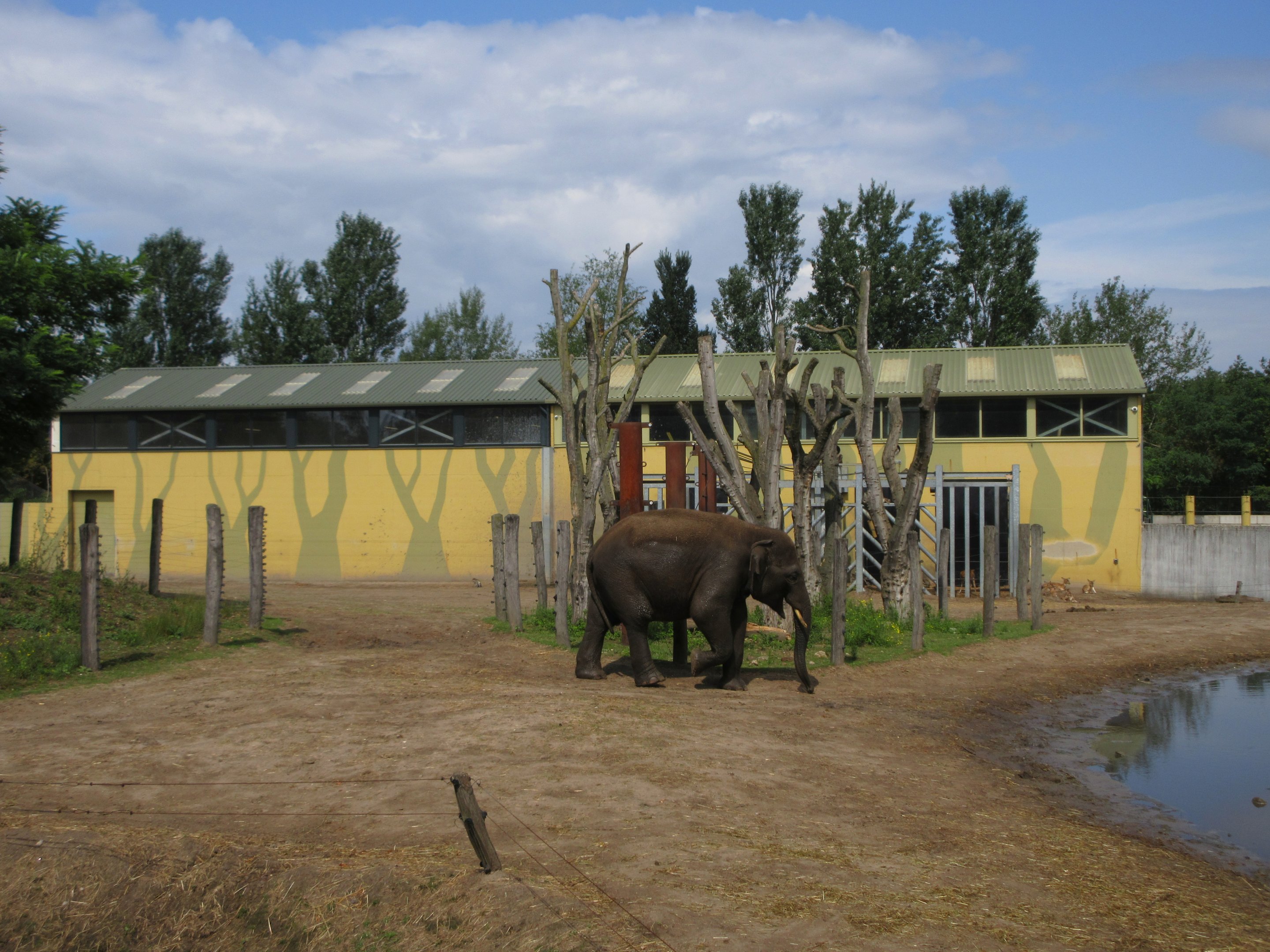 Asian Elephant/Red Deer/Chital/Crab-eating Macaque Exhibit
