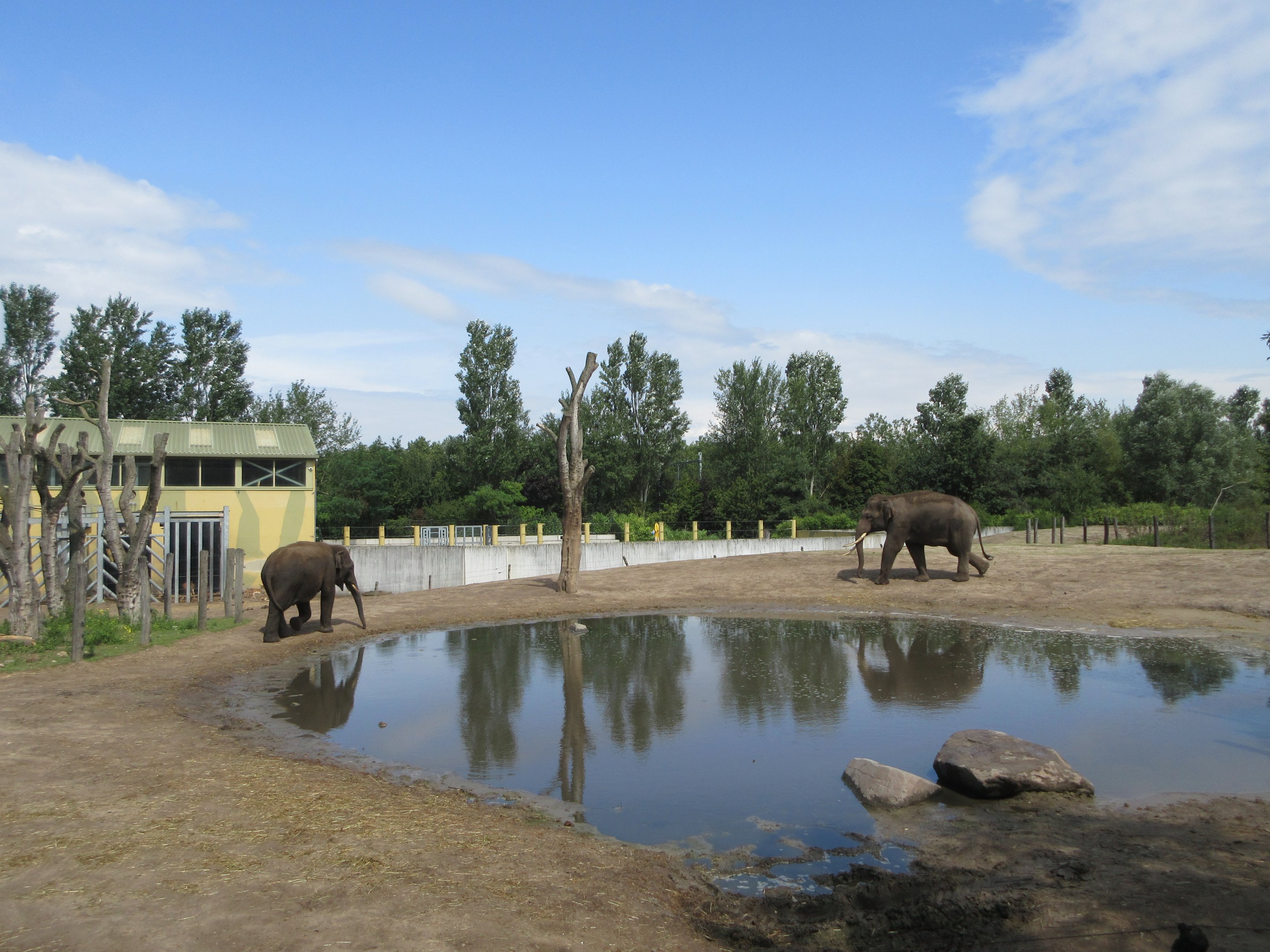 Asian Elephant/Red Deer/Chital/Crab-eating Macaque Exhibit