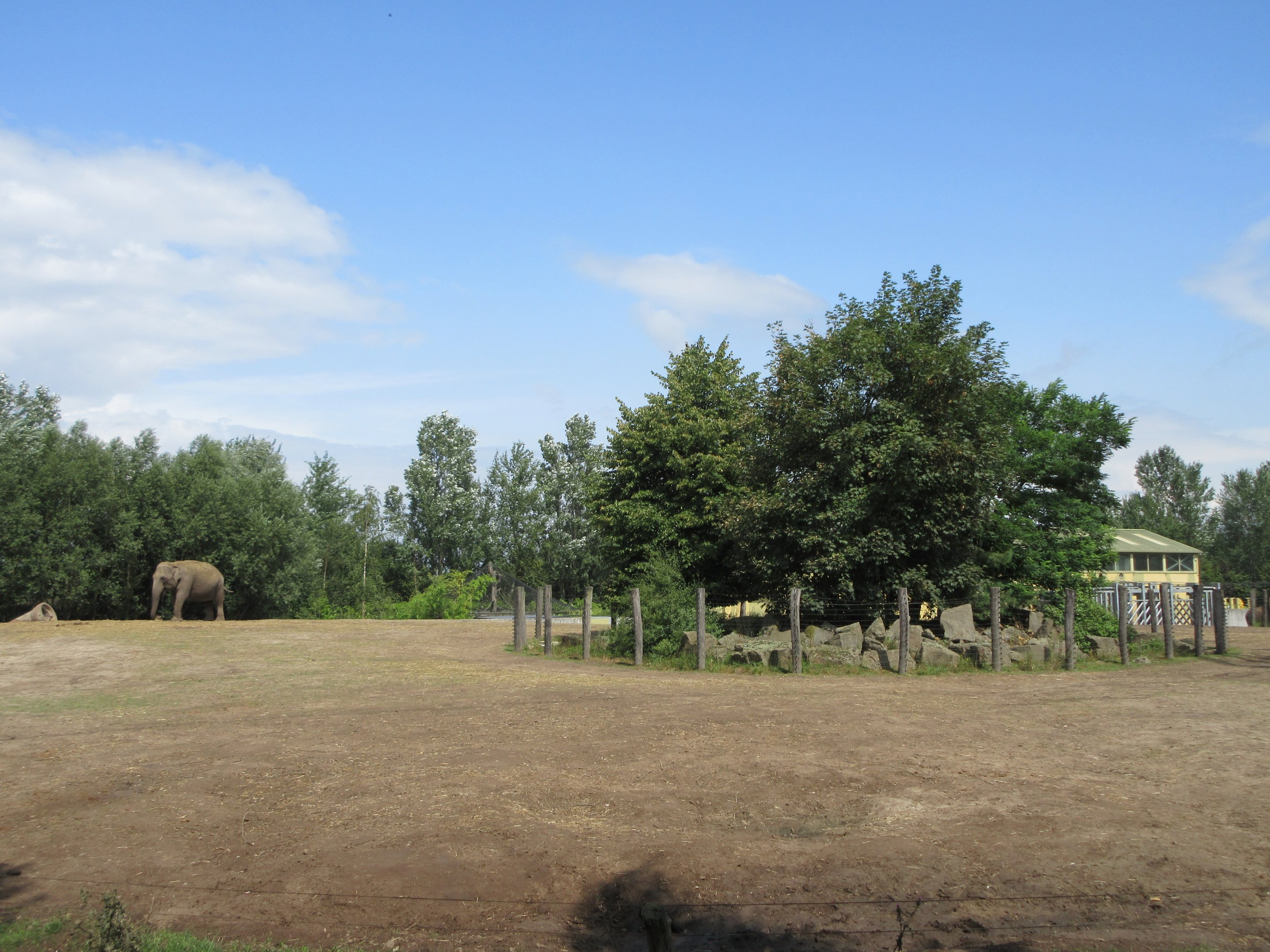 Asian Elephant/Red Deer/Chital/Crab-eating Macaque Exhibit