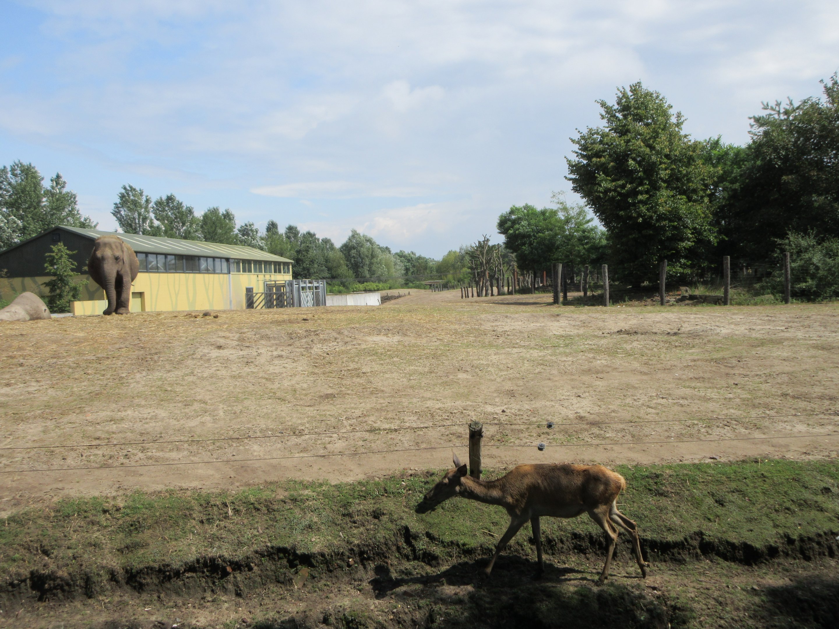 Asian Elephant/Red Deer/Chital/Crab-eating Macaque Exhibit