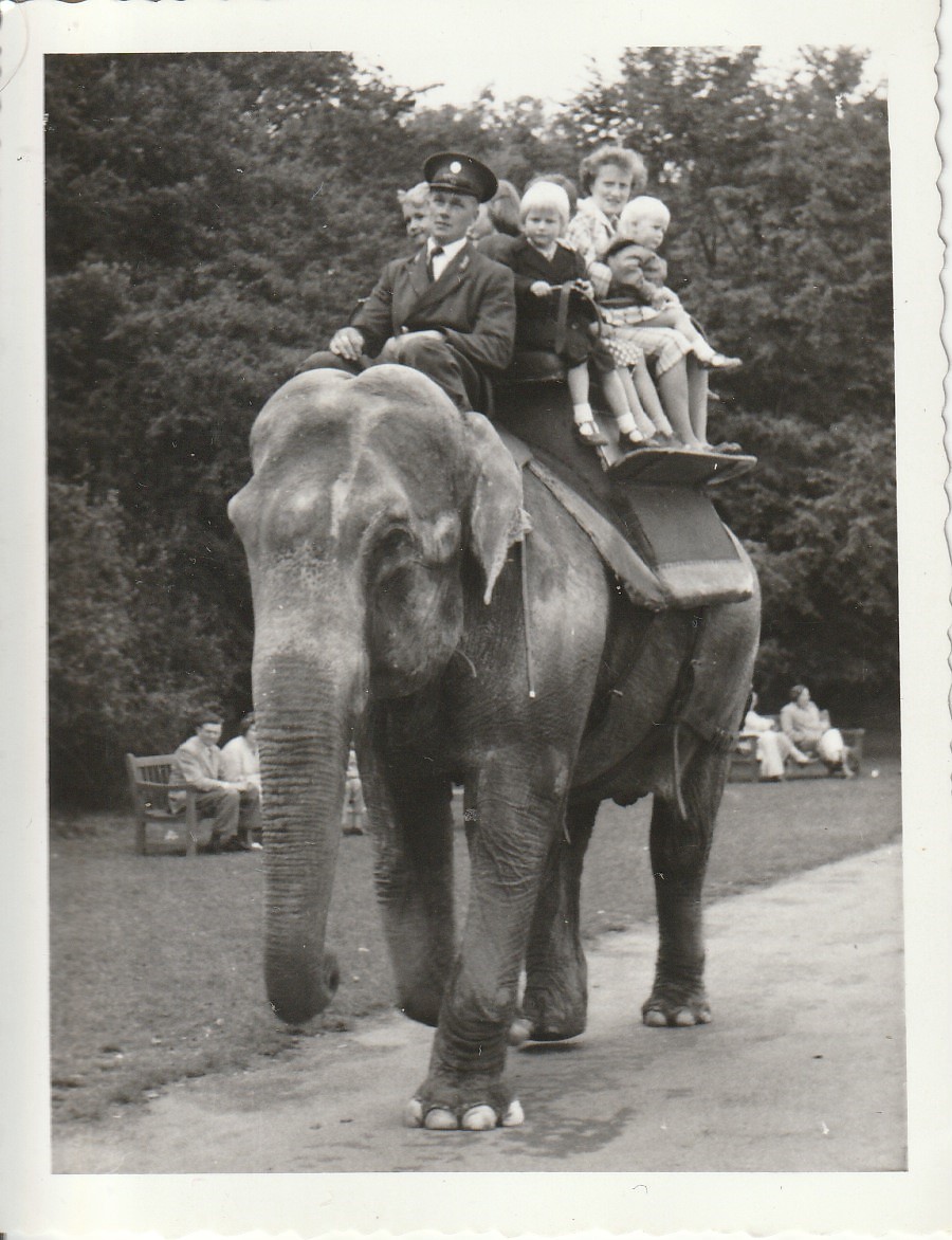 Asian Elephant ride at Whipsnade Zoo - taken circa August/September 1960