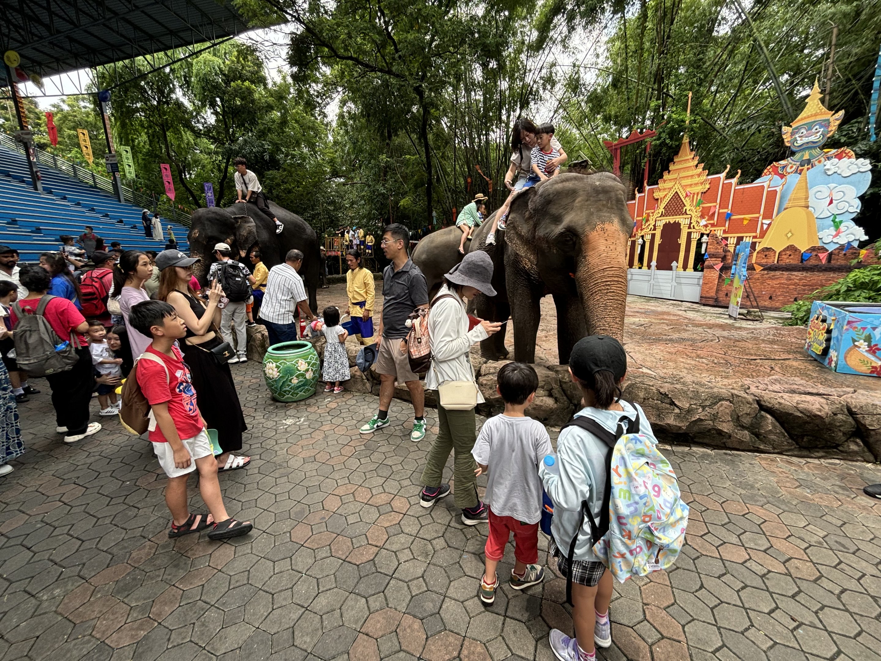 Asian Elephant Rides
