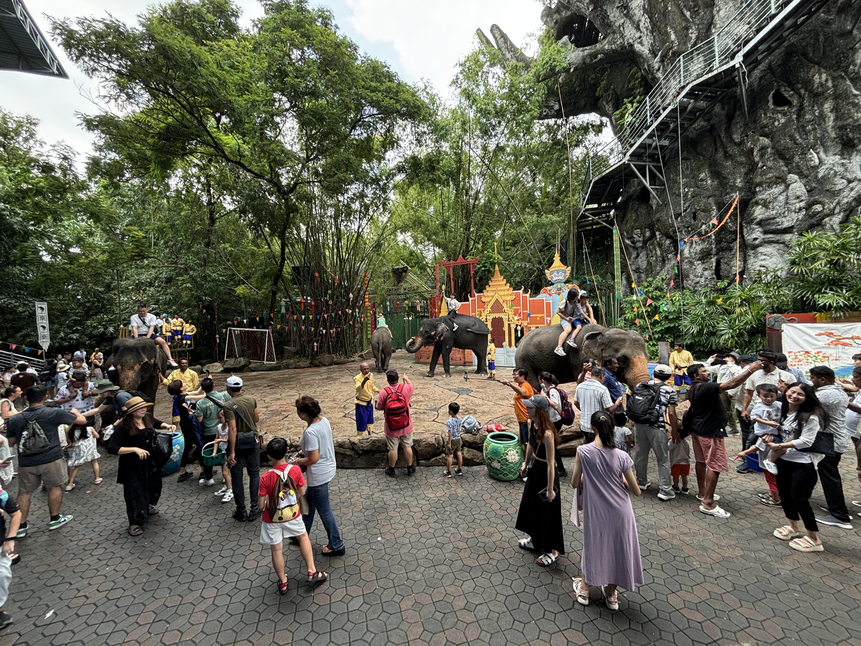 Asian Elephant Rides