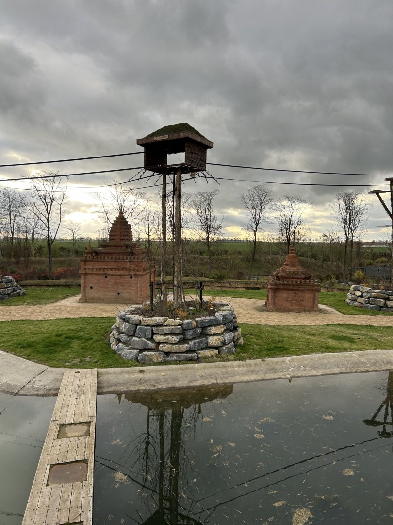 Asian elephant savannah with feeding temples
