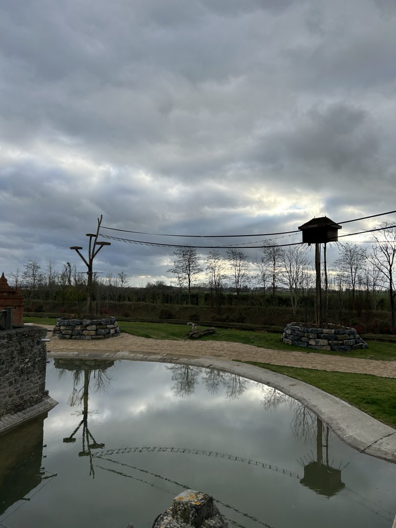 Asian elephant savannah