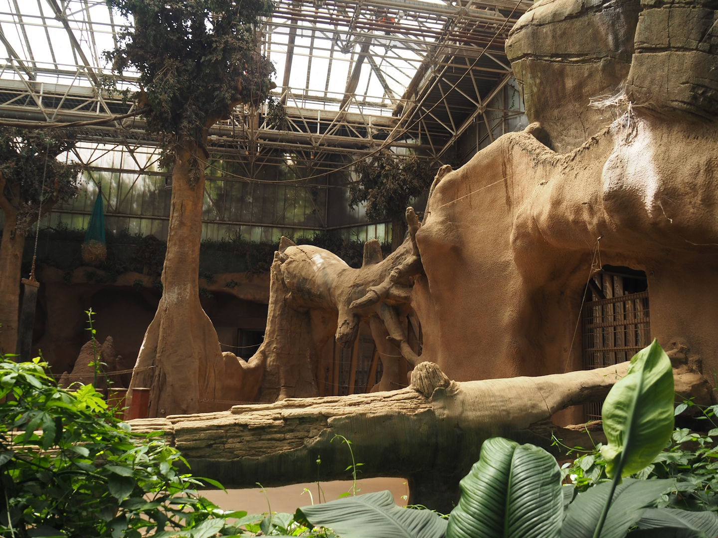 Asian elephant separation and medical stalls, 2024-06-30