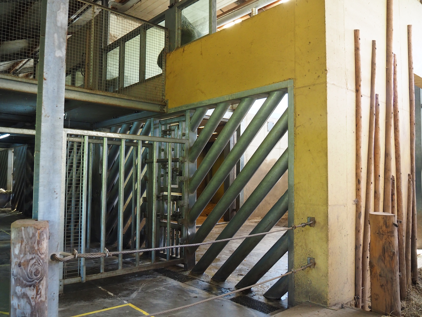 Asian elephant separation stall and care box, 2023-04-30