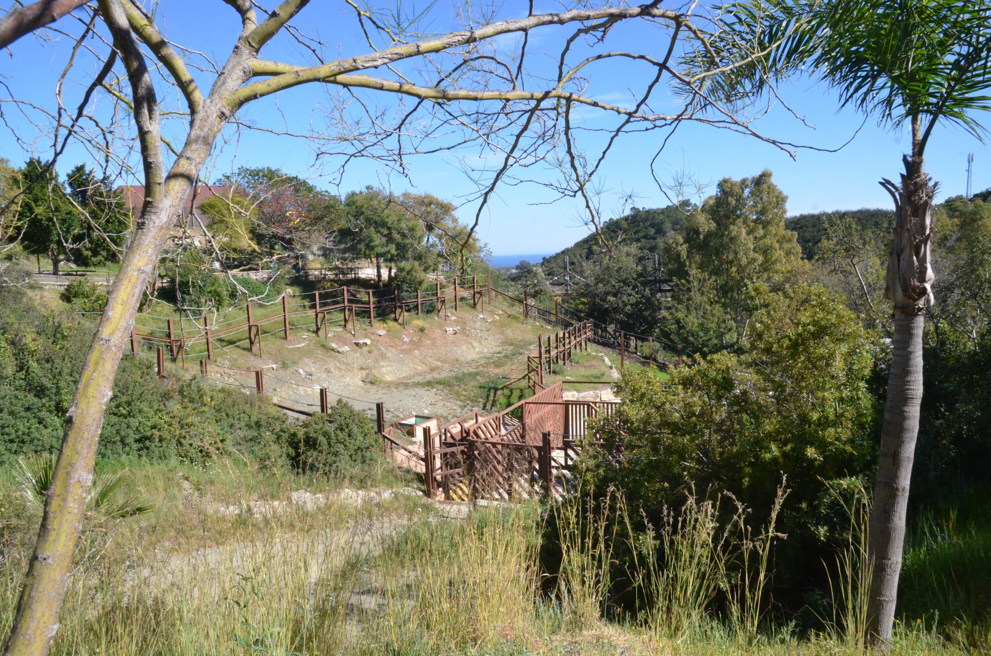 Asian Elephant Side Paddock at Selwo Aventura, 13/03/19