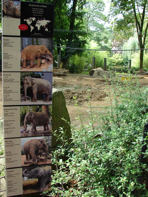 Asian Elephant sign