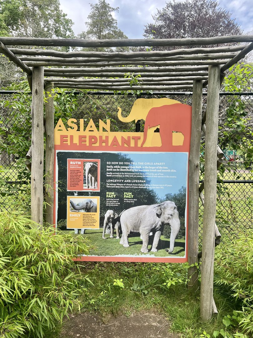 Asian Elephant Sign