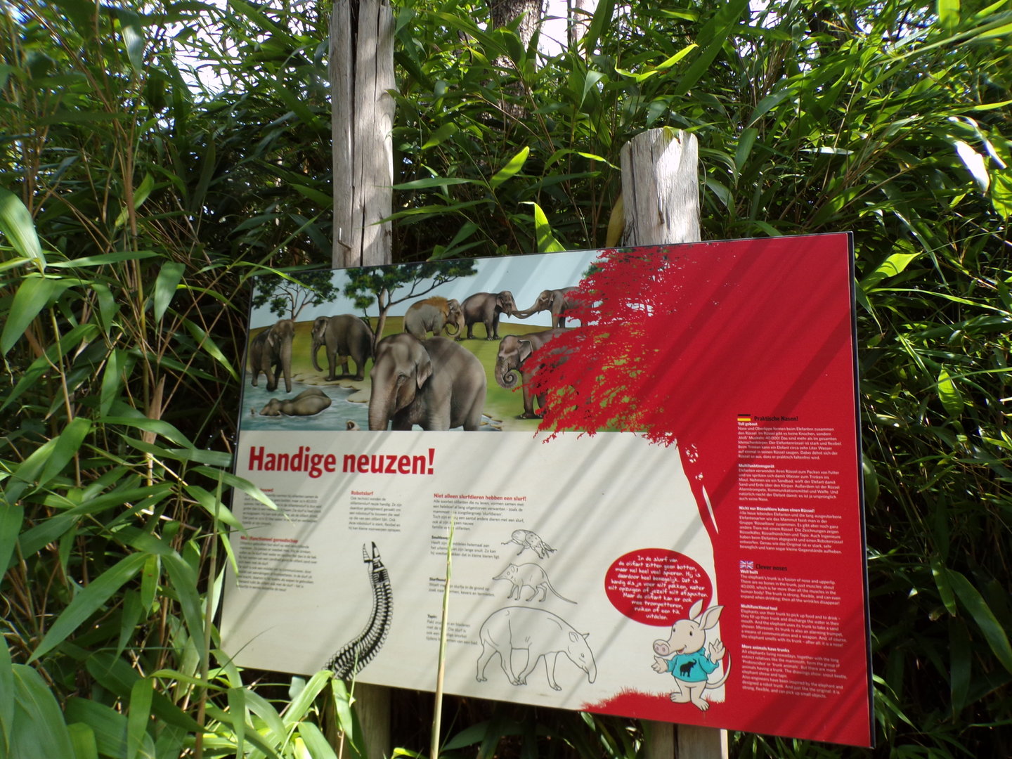 Asian elephant signage 6.7.23