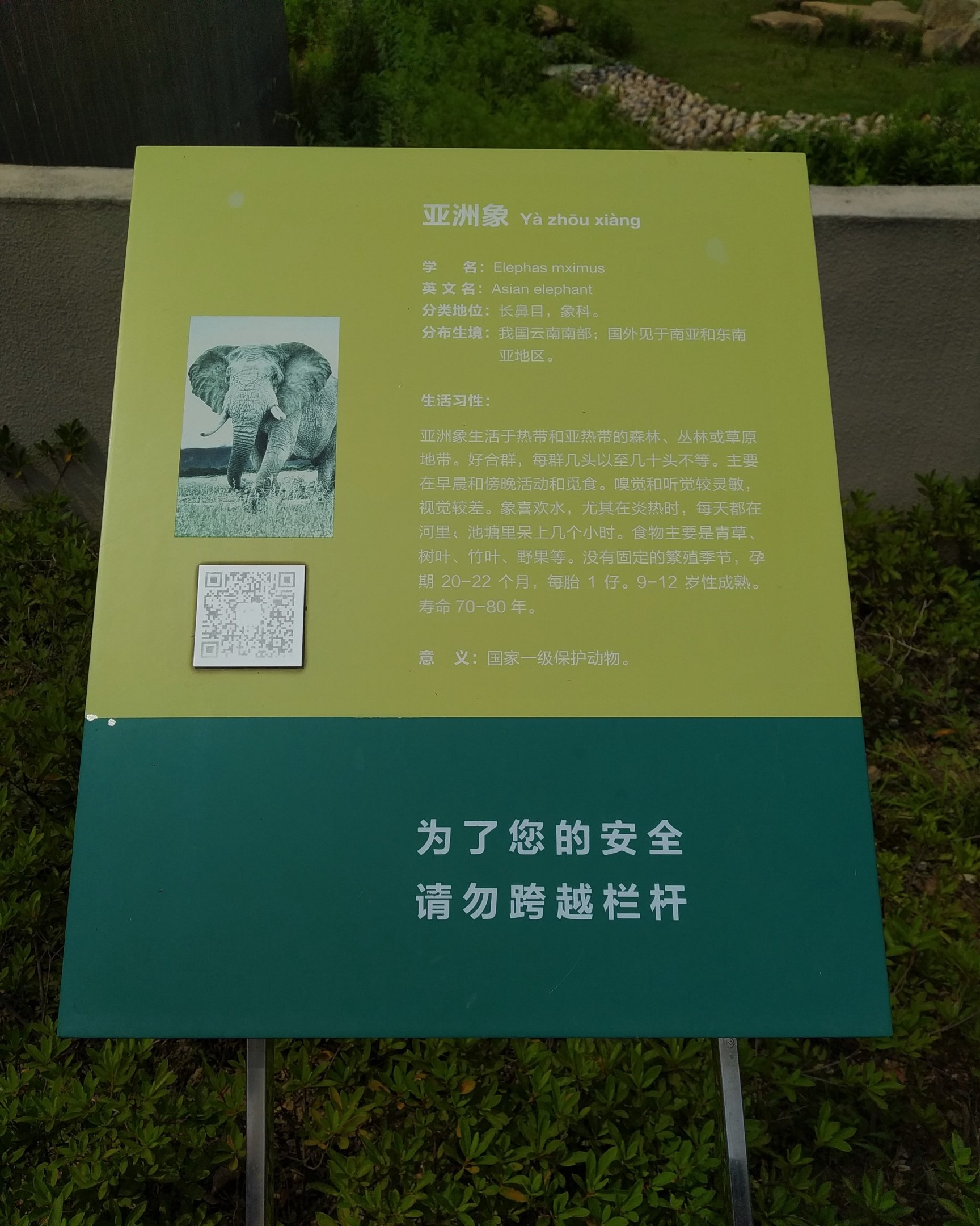 Asian Elephant Signage