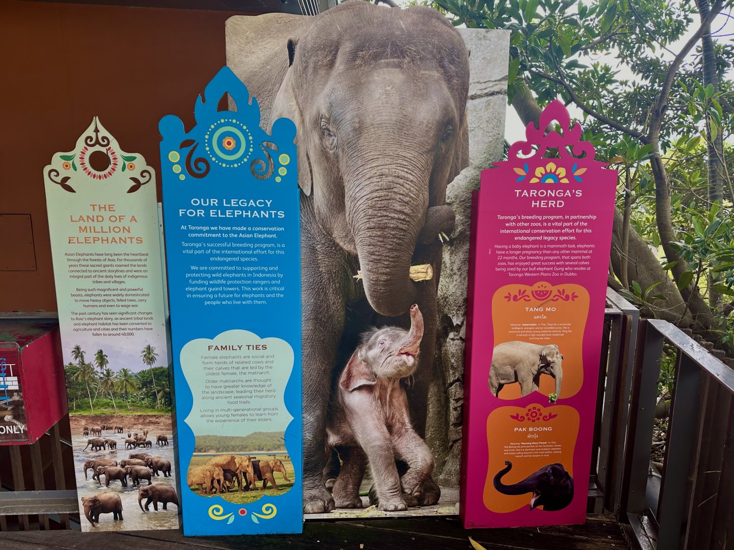 Asian Elephant Signage