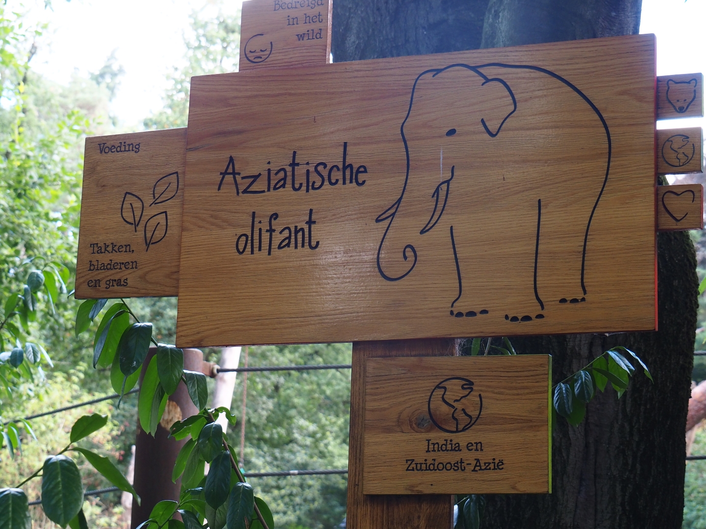 Asian elephant signs