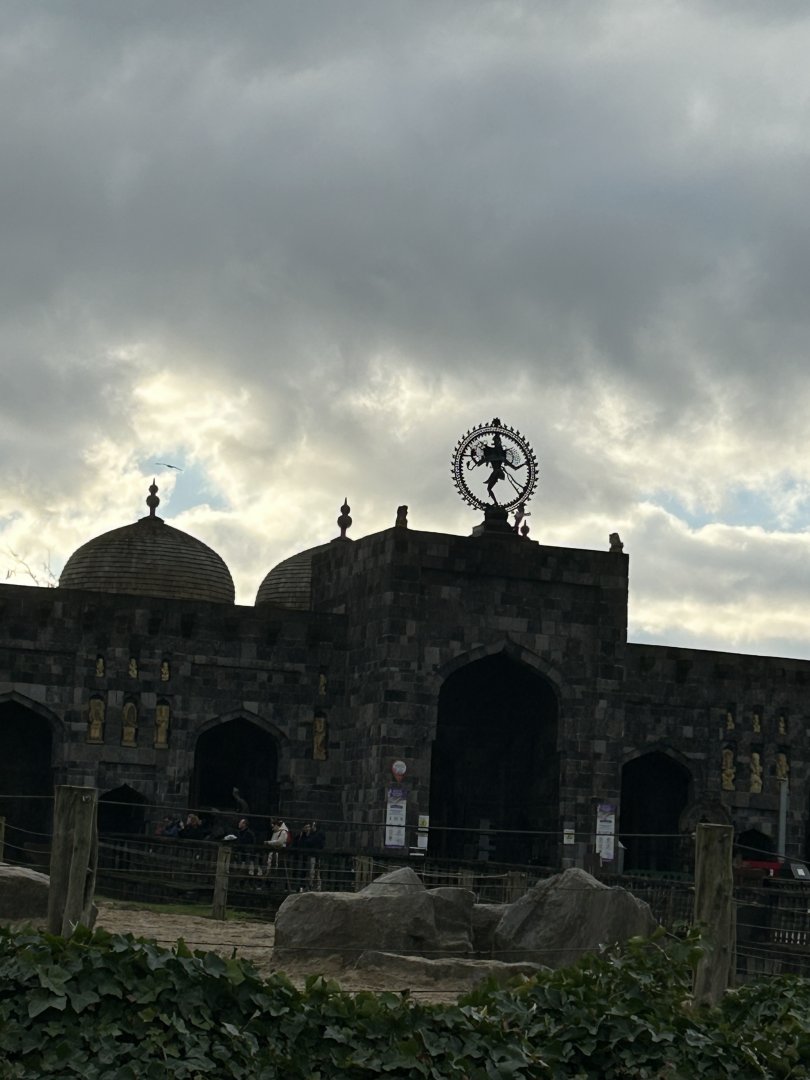 Asian elephant stall