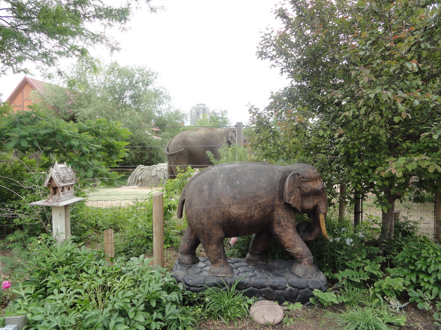 Asian Elephant Statue w/ Elephant behind it