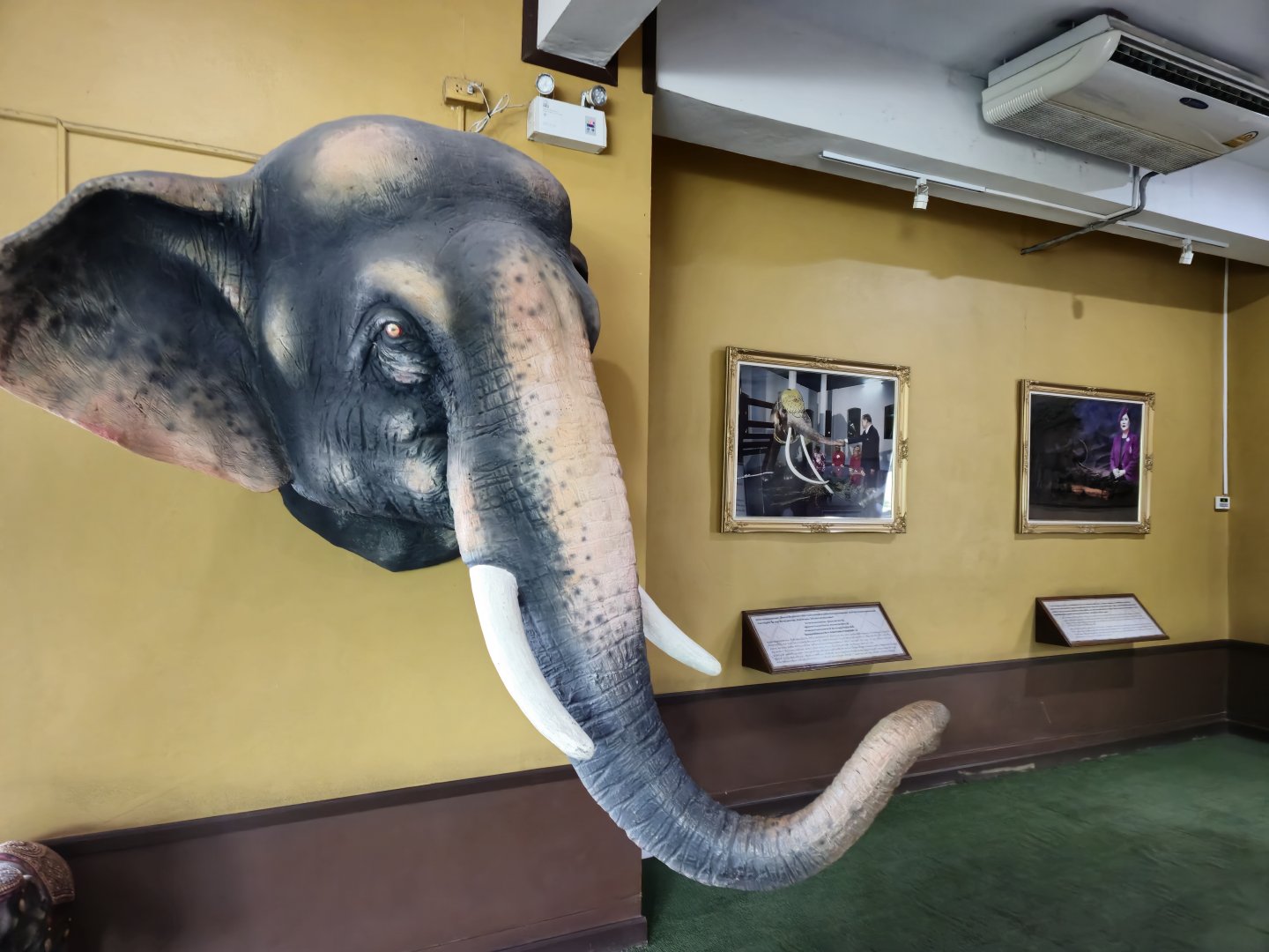 Asian Elephant statue