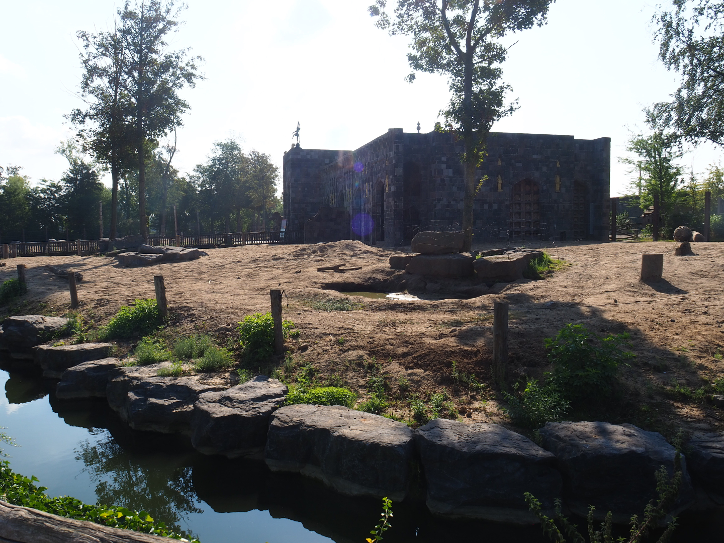 Asian elephant temple elephant paddock 1, 2020-09-02