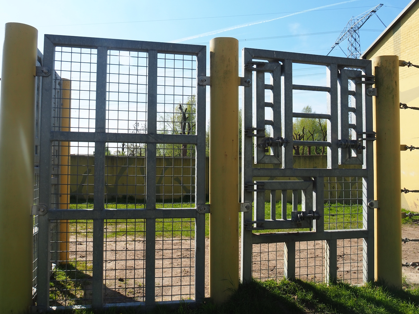 Asian elephant training and care wall, 2023-04-30