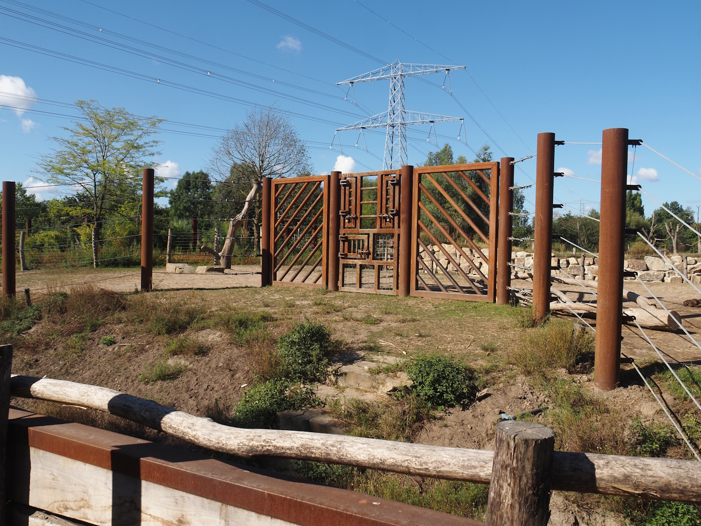 Asian elephant training wall, 2025-08-24