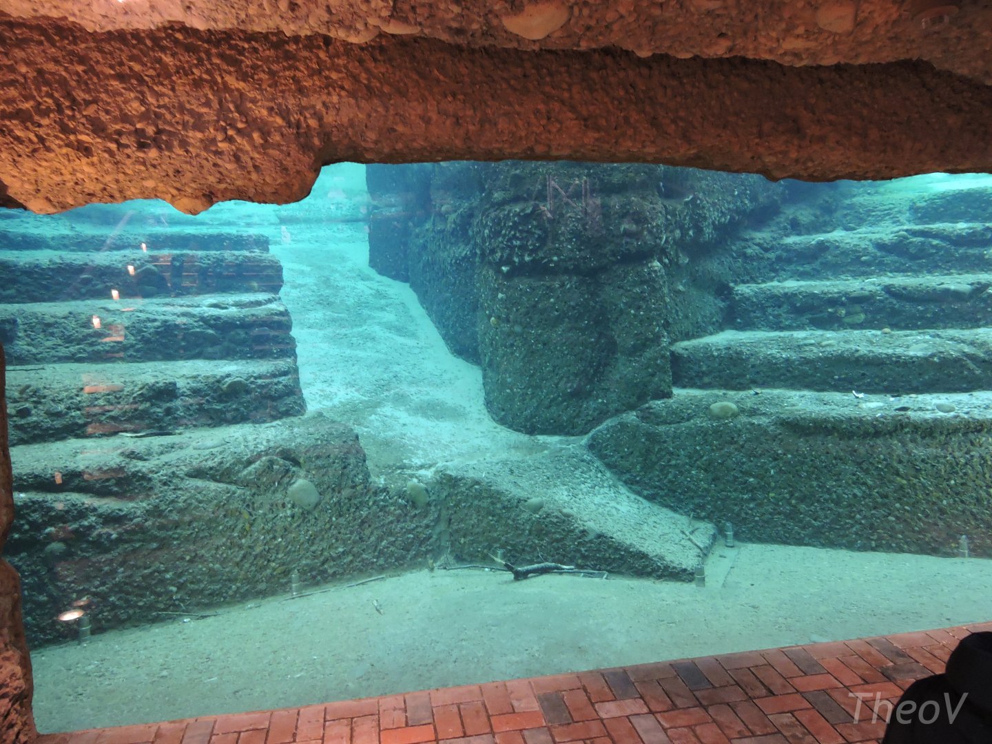 Asian elephant underwater viewing [2015]