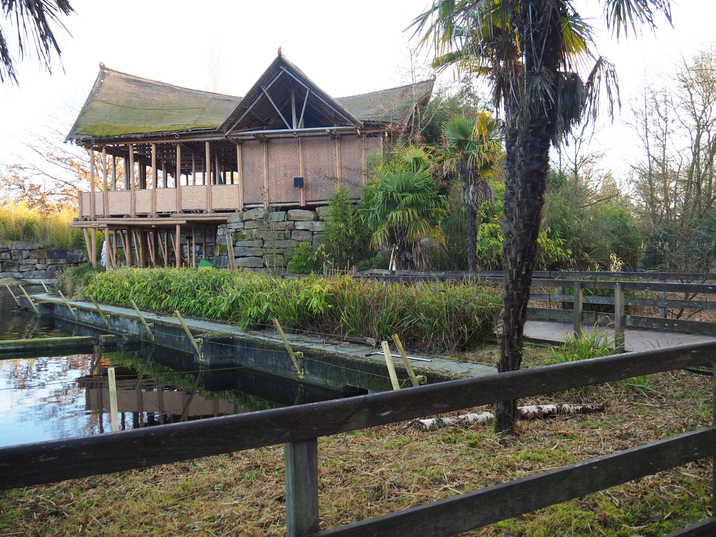 Asian elephant viewing area, 2022-01-30