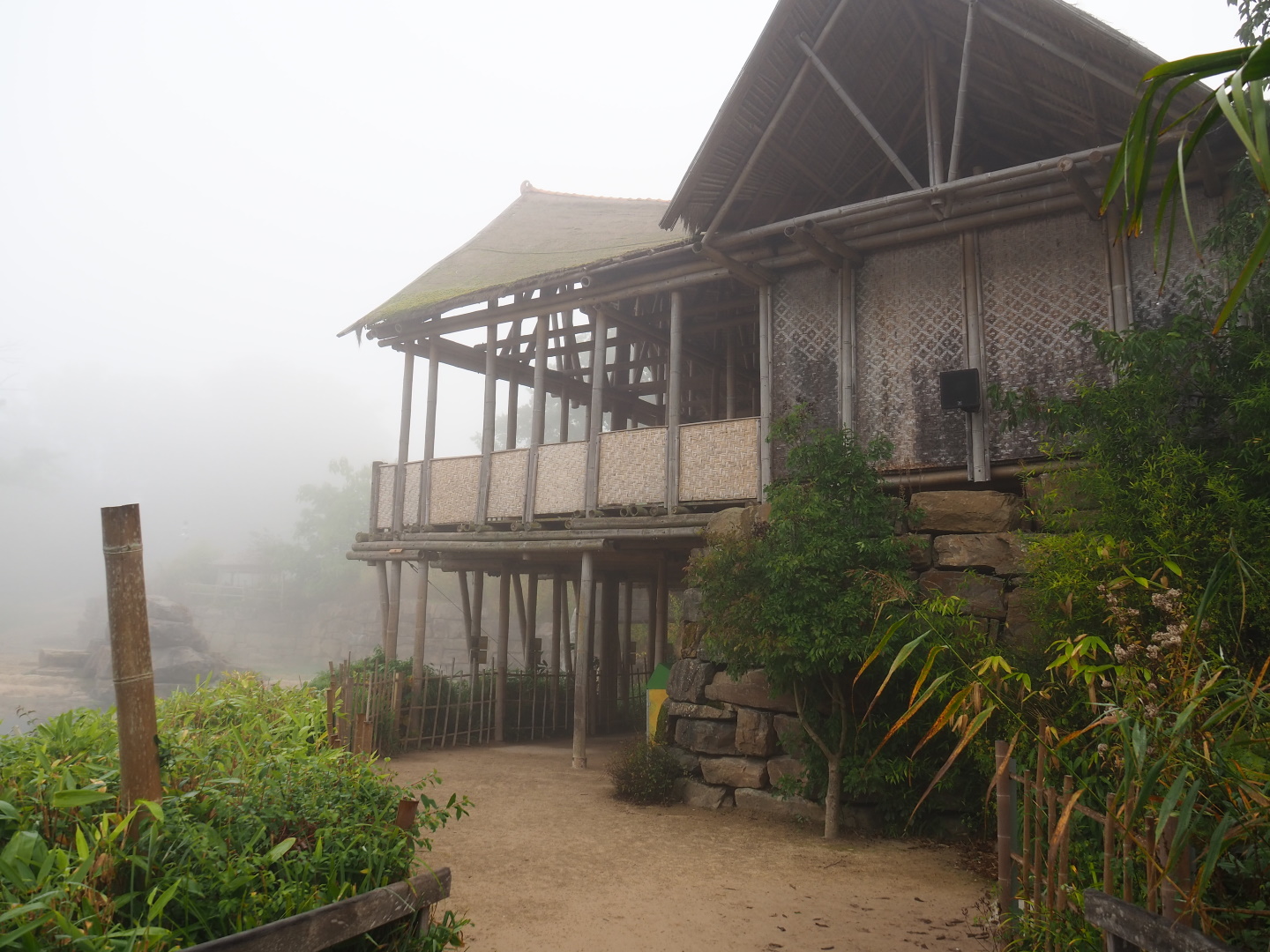 Asian elephant viewing areas on a misty morning, 2021-10-10
