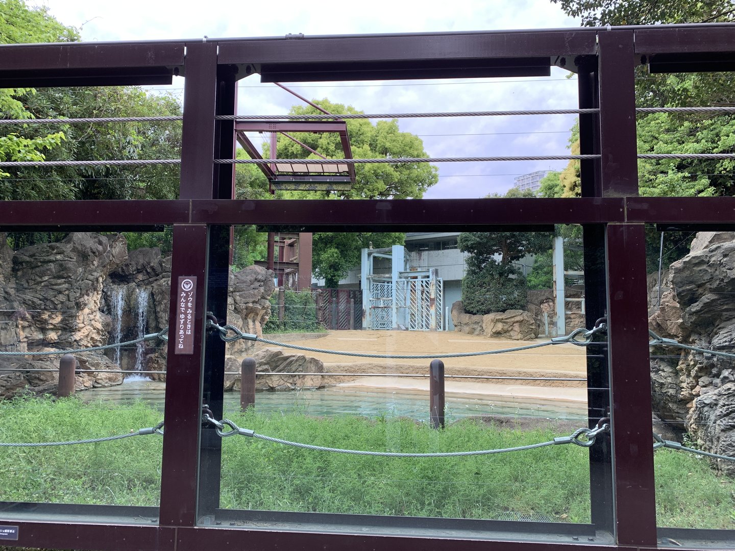 Asian Elephant Viewing